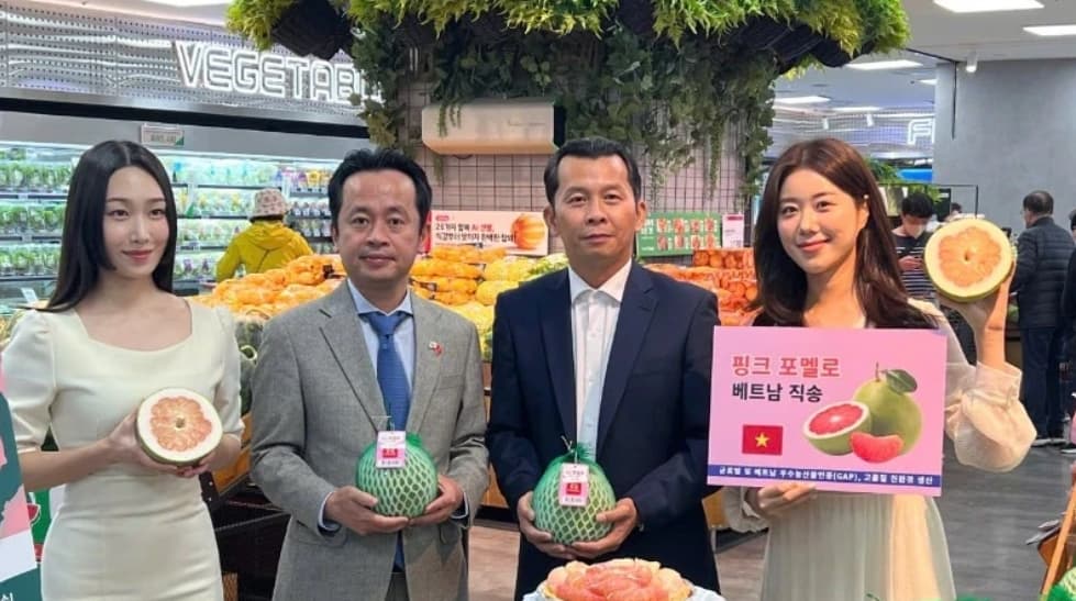 Vietnamese pomelo officially hits shelves at Lotte Mart in RoK