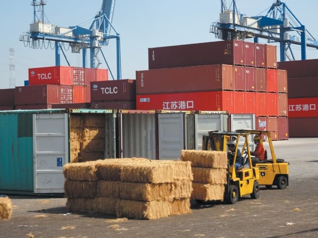 Tan Cang - Hiep Phuoc (Cat Lai Terminal D): Strengthening Capabilities and Expanding Services