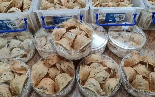 Viet Nam expands agricultural exports to China