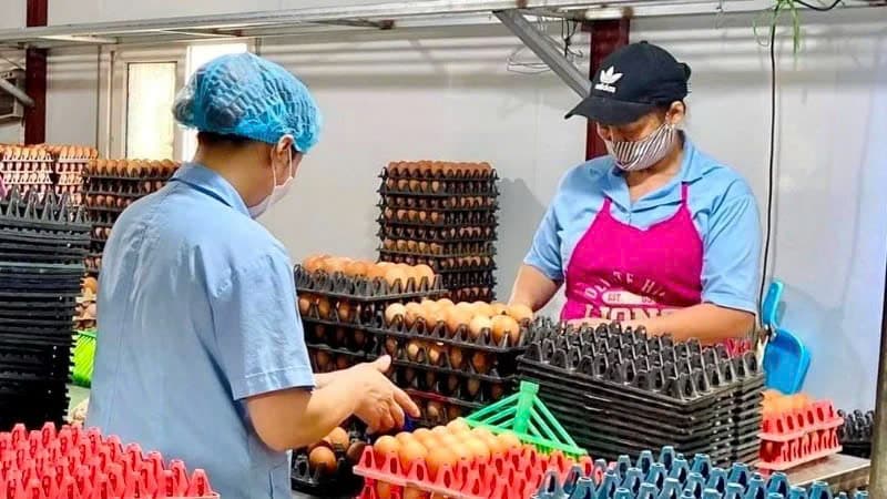 Efforts made to remove credit bottlenecks for businesses