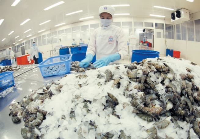US$2 Trillion Halal Market: New Driving Force for Vietnam Exports