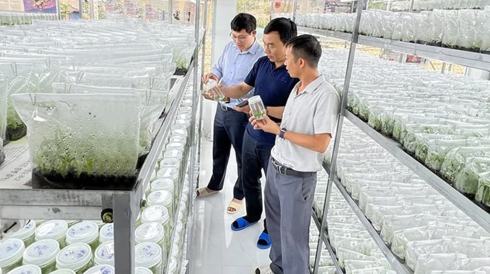 Urgent requirement for sustainable development in Vietnam's era of national rise