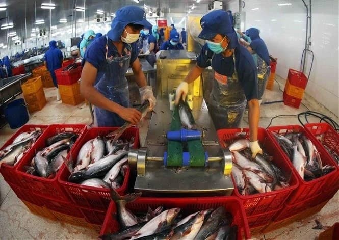 World Bank forecasts Vietnam GDP growth at 5.8% in 2025