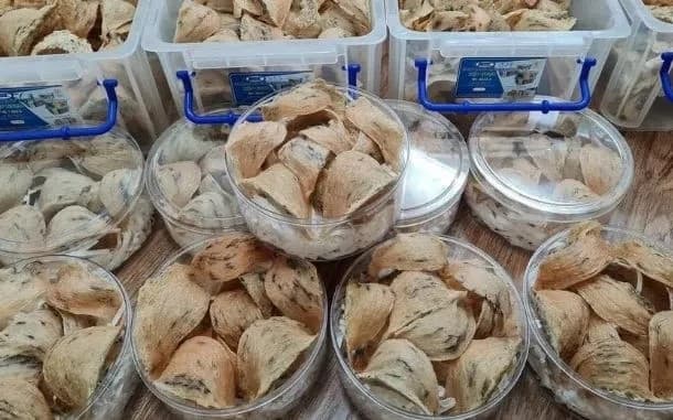 Vietnam Expands Agricultural Exports to China