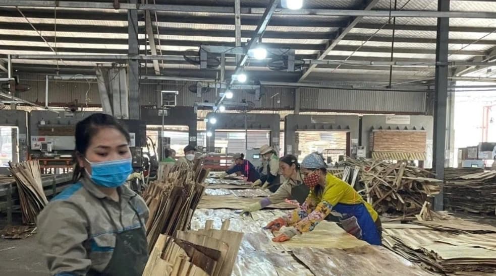 Wood industry proactively reduces impact from tariff policy