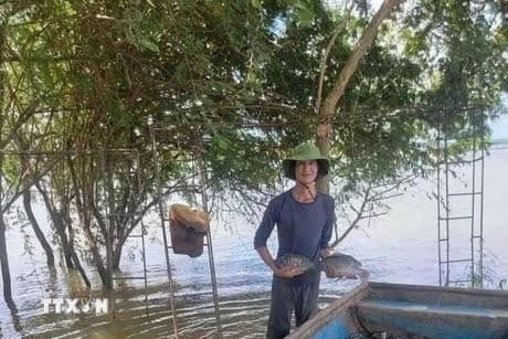 Brazil lifts suspension on Vietnamese tilapia fish imports