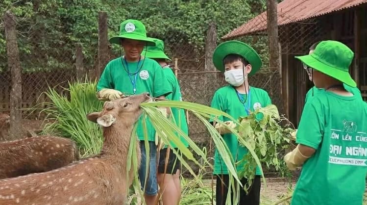 Wildlife conservation tours highlight responsible ecotourism