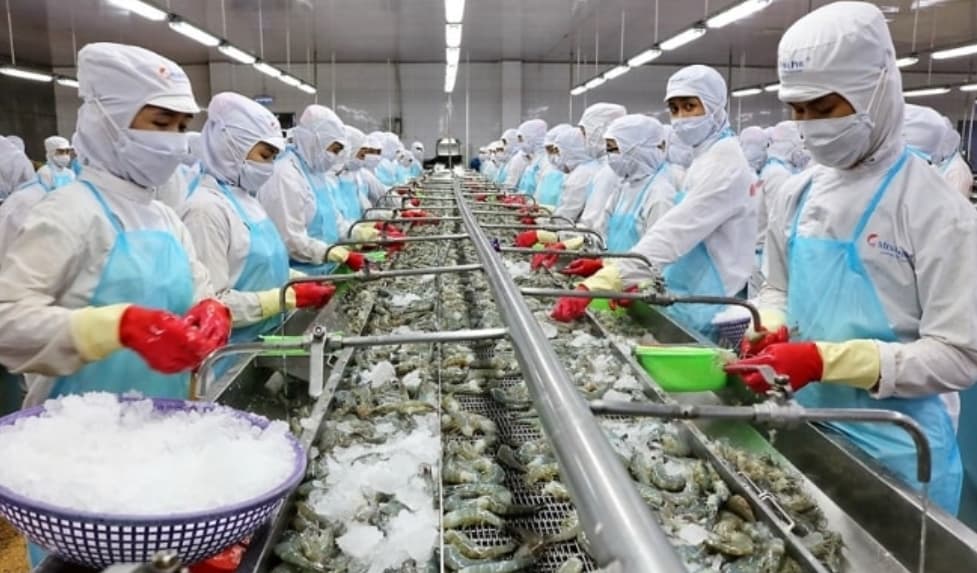 Three key export sectors urgently need credit support
