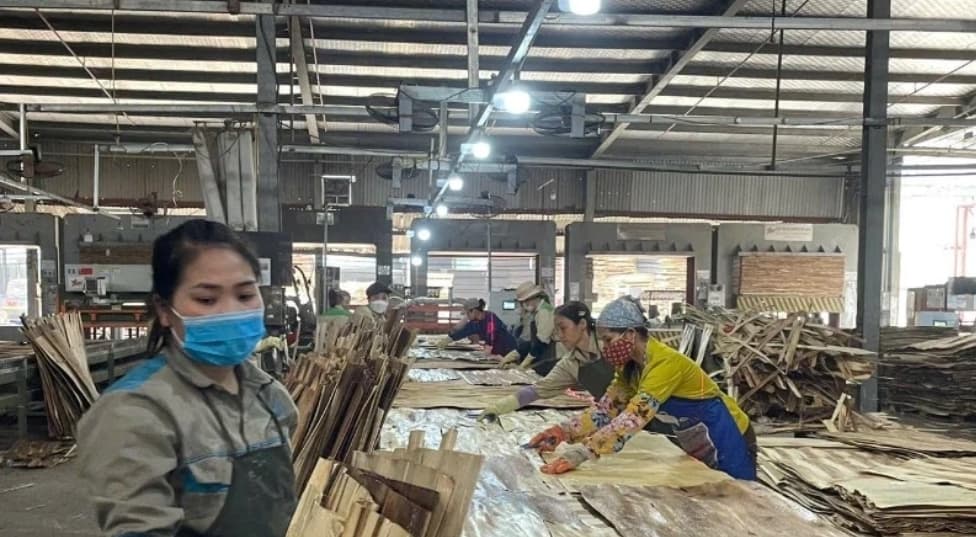 Wood industry proactively reduces impact from tariff policy