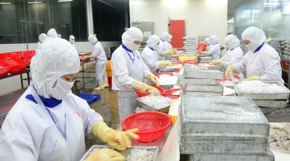 Bringing Vietnamese agricultural products into international retail systems