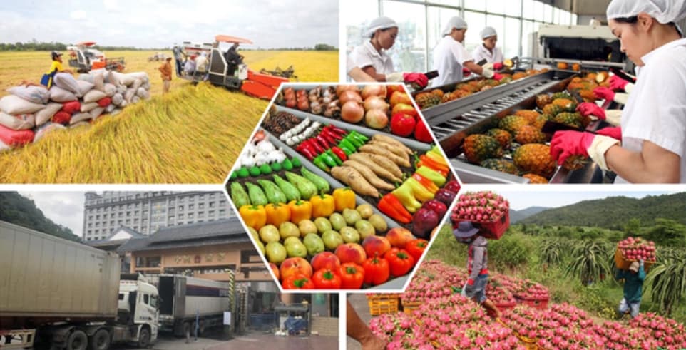 Viet Nam safeguards agricultural production, export amid global trade uncertainties