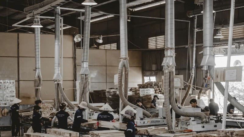 Promoting transparency and restructuring production in wood industry