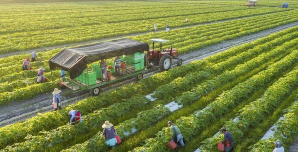 Australia to provide AUD 2 million to help Viet Nam respond to climate change