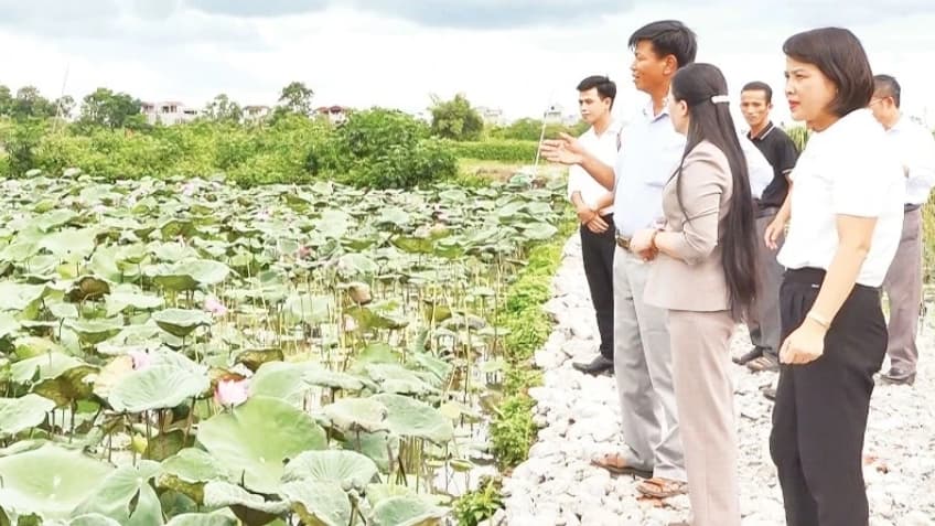 Driving force for agricultural and rural development from Capital Law 2024
