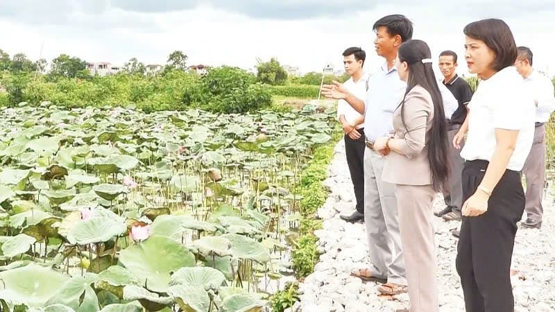 Driving force for agricultural and rural development from Capital Law 2024