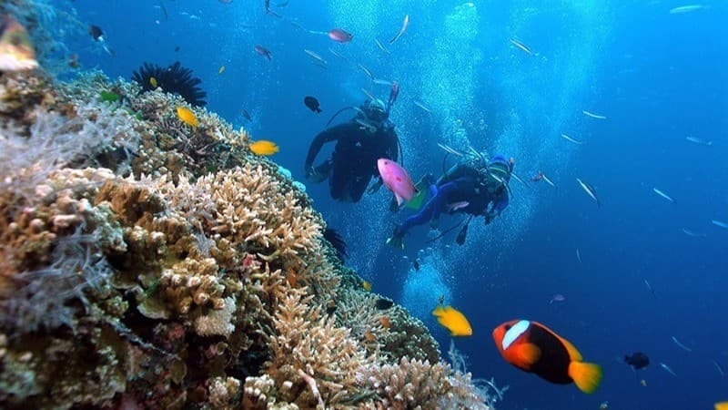 Nha Trang among top Asian destinations for 'slow travel': Agoda