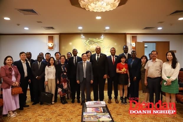Expanding the potential of Vietnam - Tanzania business cooperation