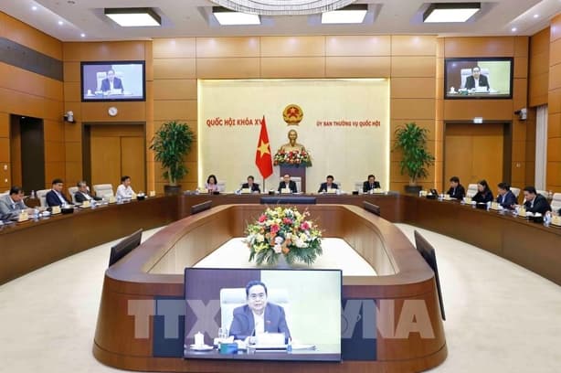 VCCI: Consider VAT regulations on mineral resources and exports