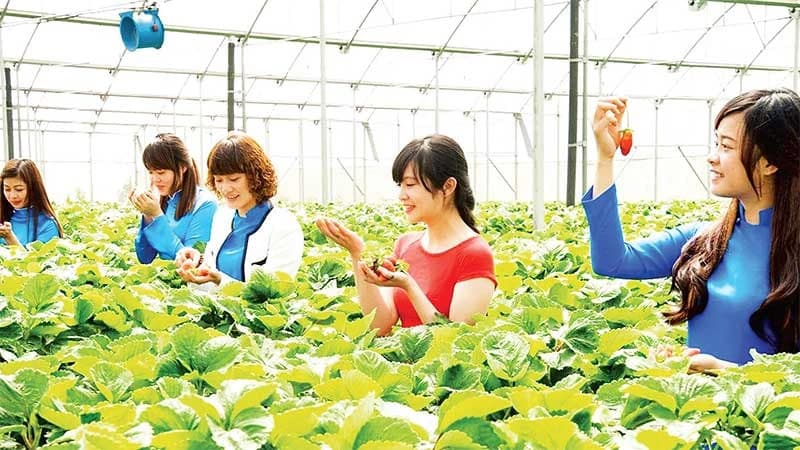 Promoting advantages of agricultural tourism