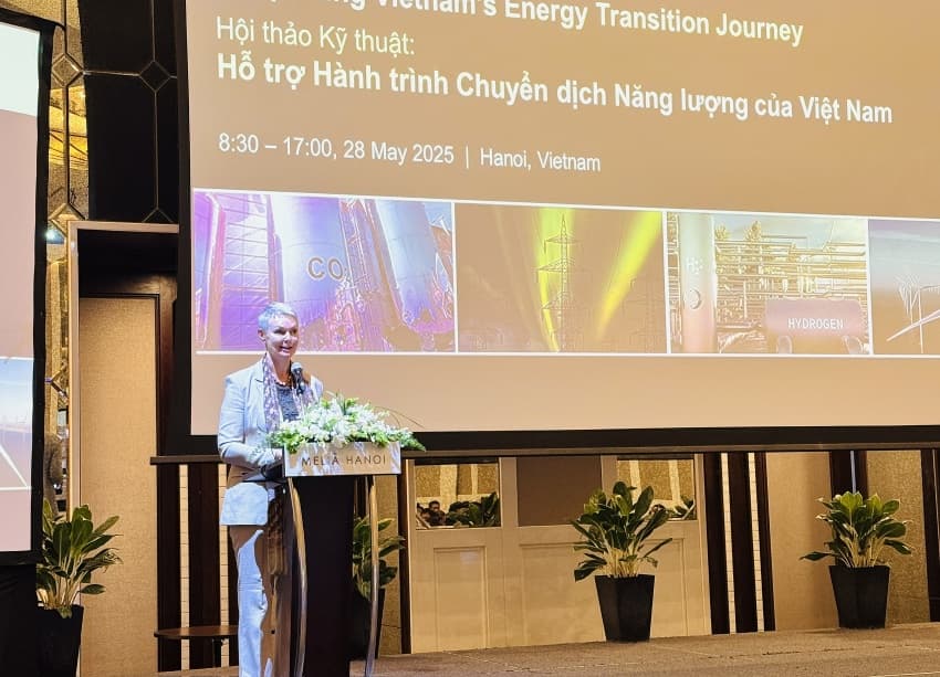 Towards a Norway-Vietnam strategic green partnership