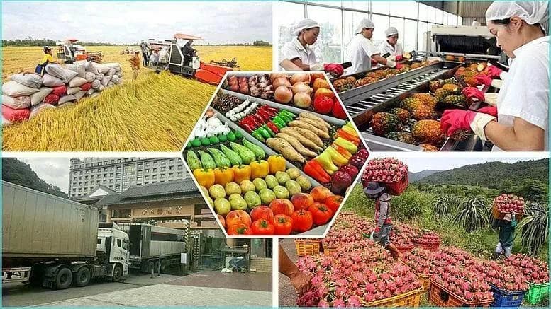 Agro-forestry-fishery export in five months top 28 billion USD