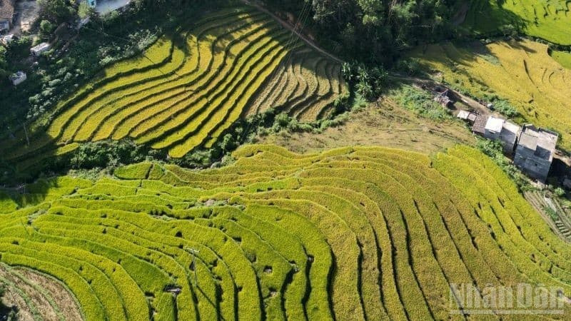 Agricultural production grows steadily in May