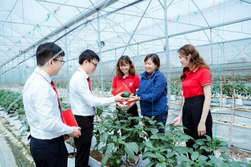 Opportunities and challenges of green credit