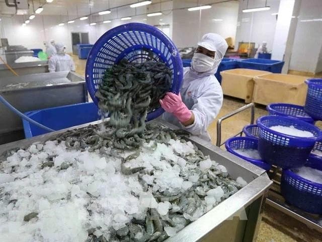 US issues preliminary decision on anti-dumping tariffs for Vietnamese shrimp