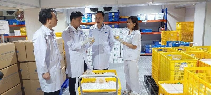 First batch of AVAC ASF LIVE African swine fever vaccine exported to Indonesia