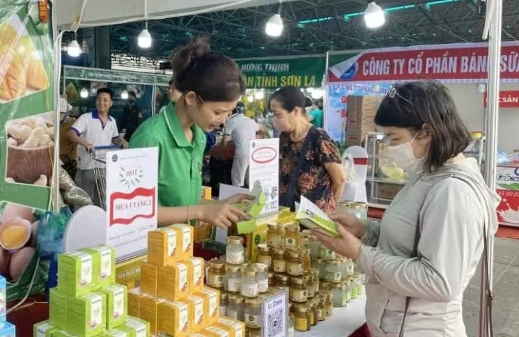 Vietnam's campaign to raise consumption of domestic products gains big success