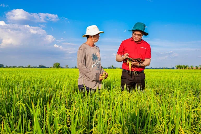 Efforts made to support development of private economy
