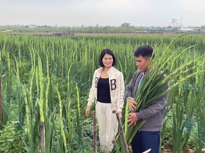 Boosting Rural Economy with High-Tech Agriculture