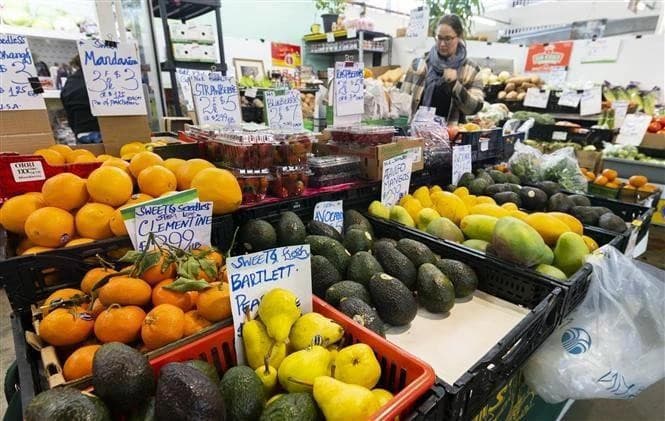 Model helps boost Vietnamese exports to Canada