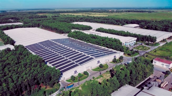 Vietnam Charts Sustainable Path to Green Growth