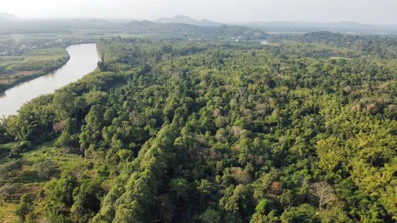 Vietnam opens door to foreign carbon credit traders