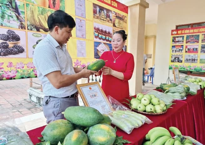 Soc Son District: Enhancing Competitiveness of OCOP Products