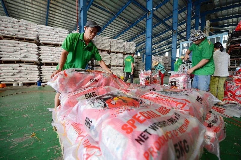 Market fluctuations challenge Viet Nam’s rice export sector