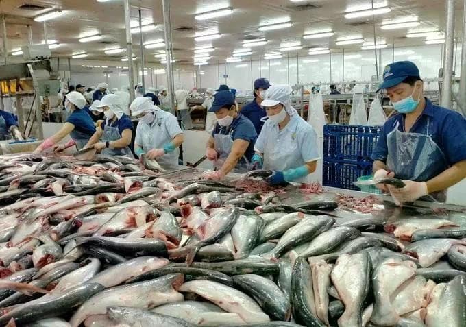 US maintains zero anti-dumping duties on Vietnamese pangasius