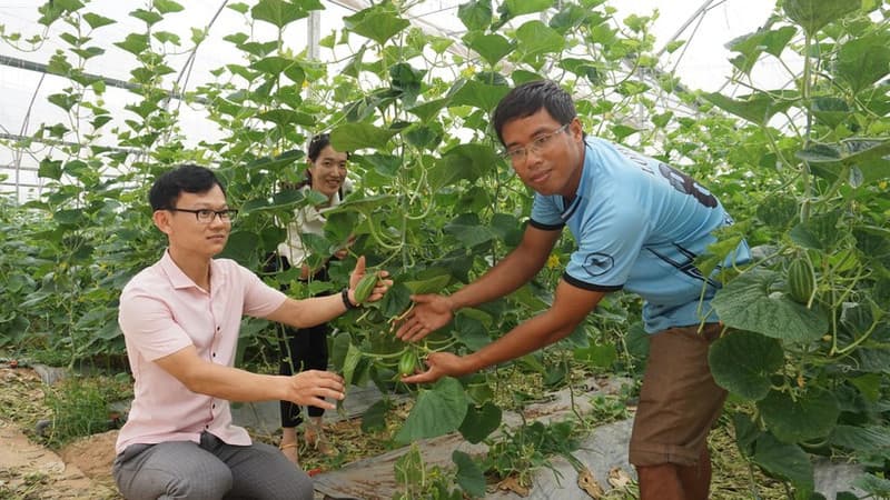 Highlighs from clean agriculture models