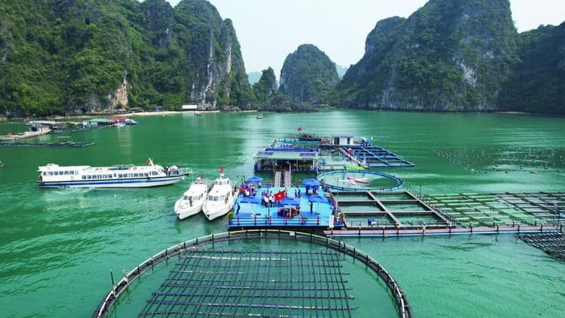 Positive changes for marine aquaculture: Removing bottlenecks