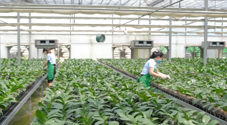Hanoi to conduct 2025 rural and agricultural census next month