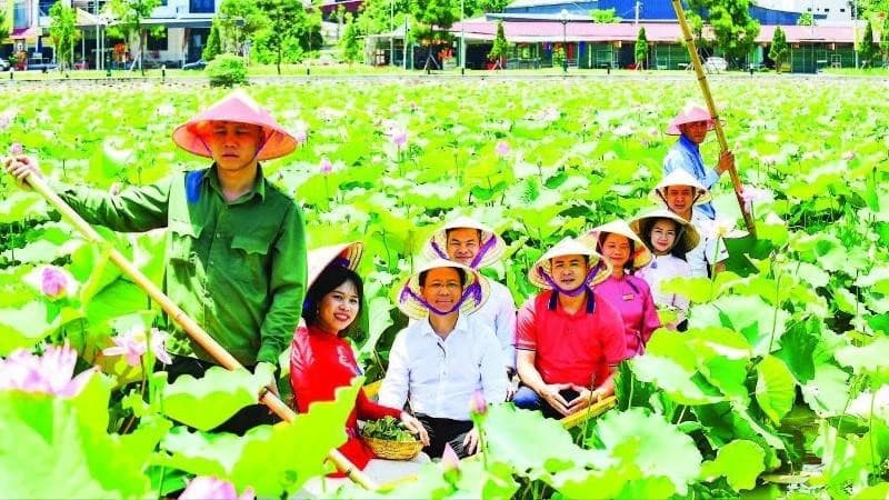 Tourism linkages for sustainable development