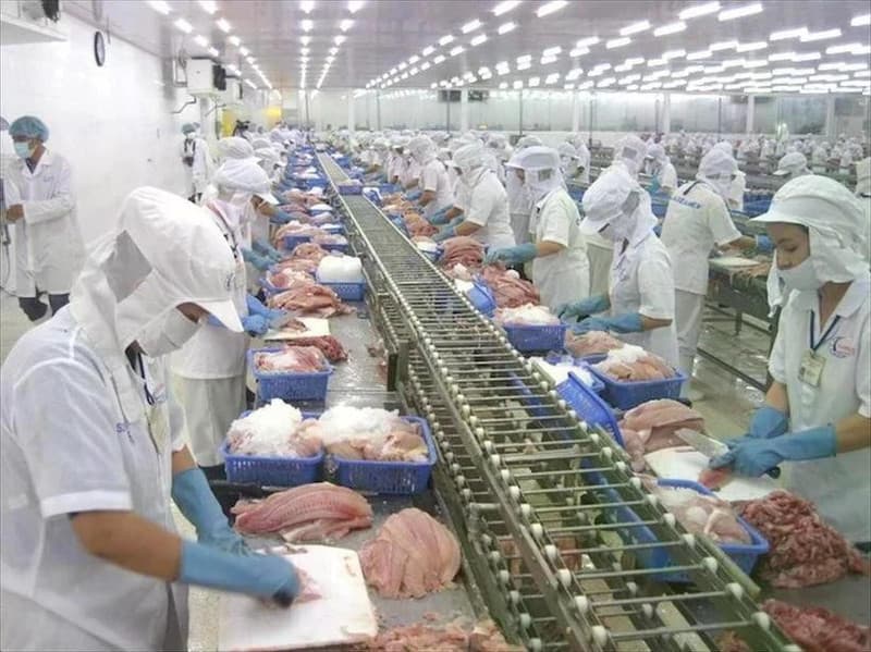 Agro-forestry-fishery exports rise over 14% in H1
