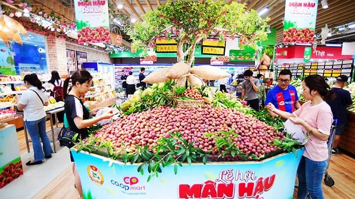 Elevating Vietnamese products with green values