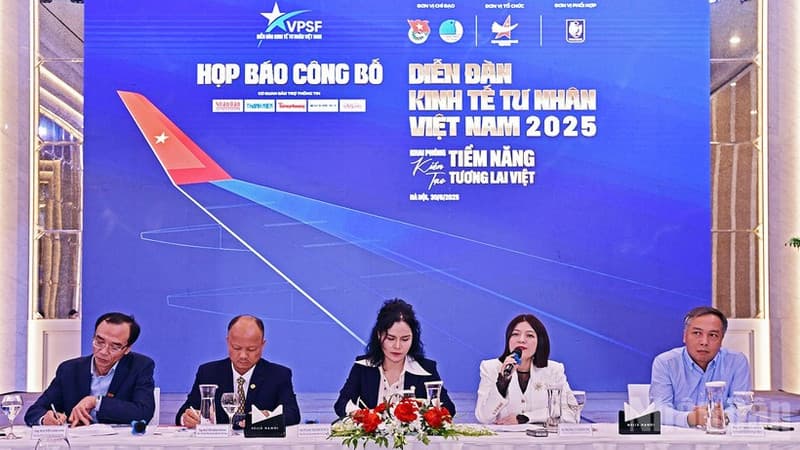 Viet Nam Private Economic Forum 2025 to take place from July to September