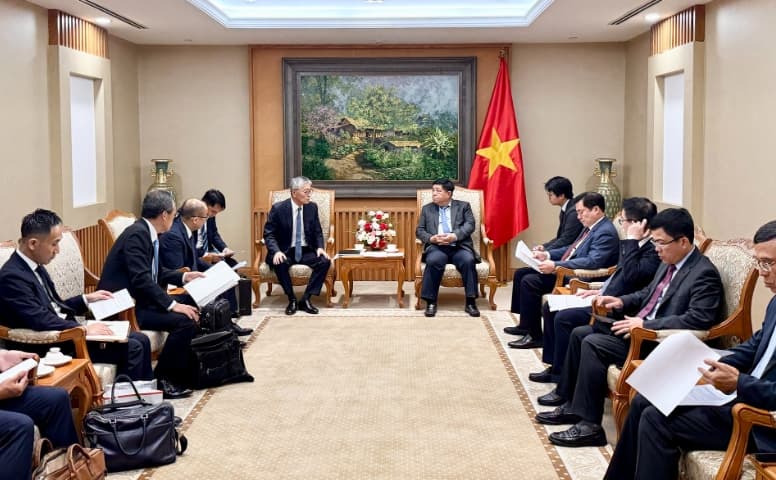 Erex seeks to convert Vietnam’s coal plants to biomass in clean energy shift