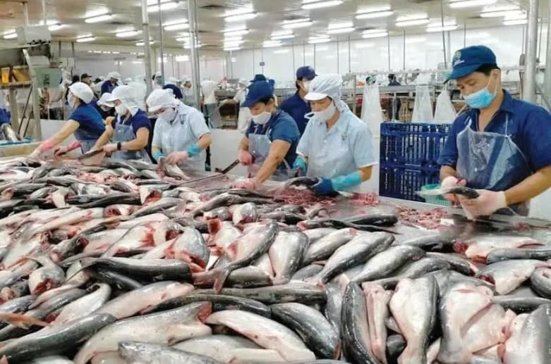 Vietnam, Brazil enterprises boost ties