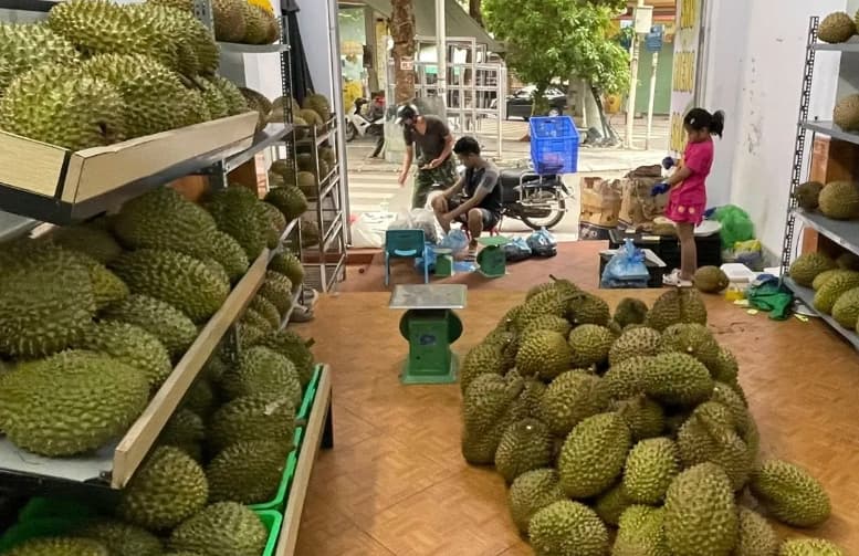Vietnam’s frozen durian exports triple in H1