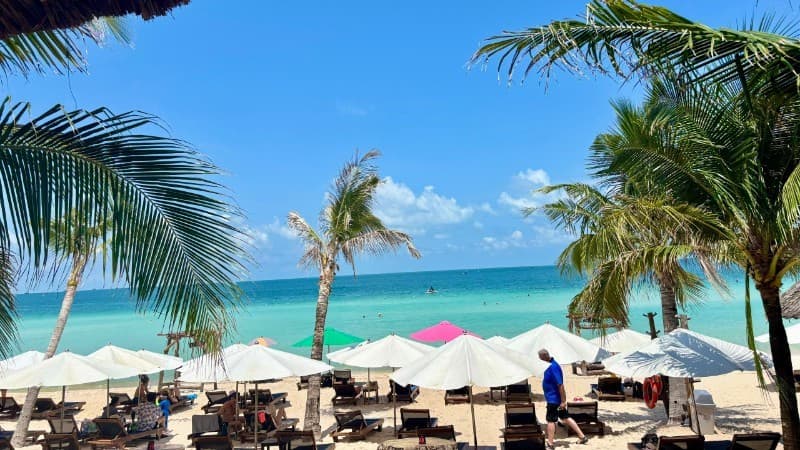 Most popular destinations among international visitors to Viet Nam in the first half of 2025