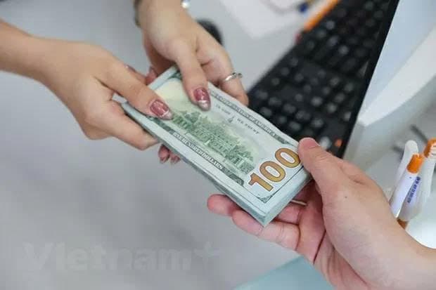Reference exchange rate at 25,176 VND/USD, going up on July 17